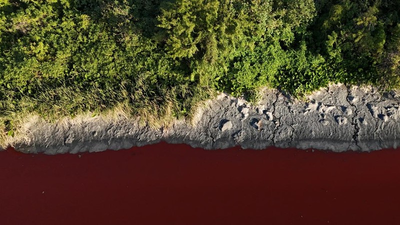Warga Kota Avellaneda, pinggiran Buenos Aires, Argentina, dikejutkan oleh perubahan drastis Sungai Sarandi yang tiba-tiba berwarna merah darah dan mengeluarkan bau menyengat pada Kamis (6/2/2025). (REUTERS/Agustin Marcarian)