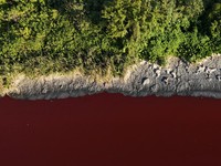 Potret Sungai Argentina Berbau Busuk & Berwarna Merah Darah, Ada Apa?