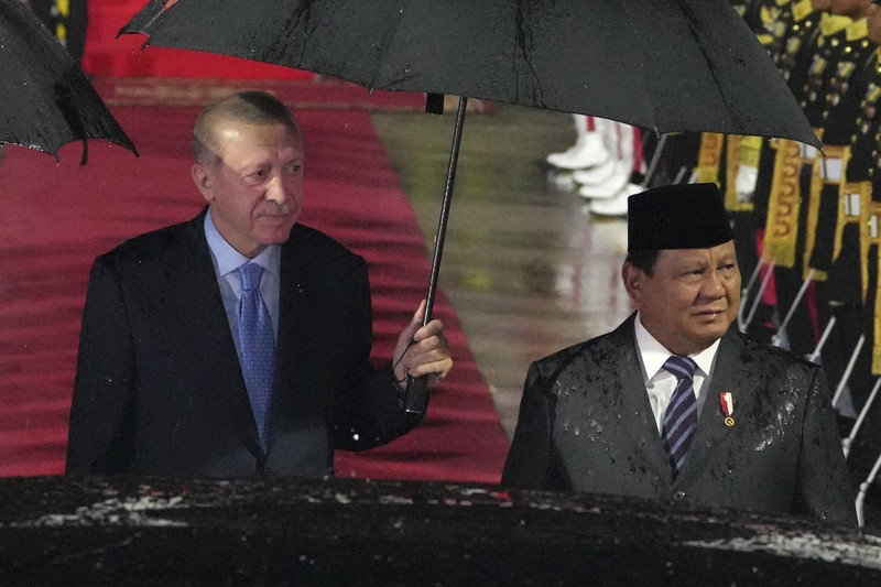 Presiden Prabowo Sambut Kedatangan Presiden Erdoğan di Indonesia, 11 Februari 2025. (AP Photo/Achmad Ibrahim)