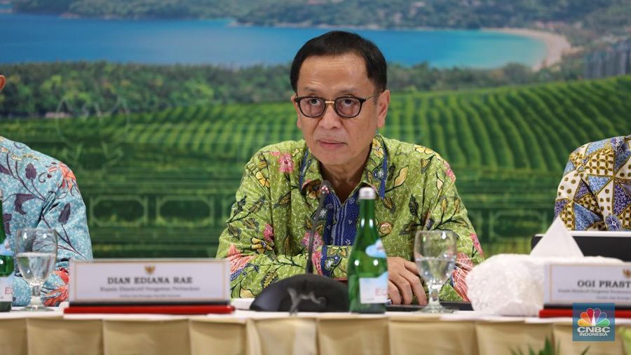 Kepala Eksekutif Pengawas Perbankan Otoritas Jasa Keuangan (OJK) Dian Ediana Rae. (CNBC Indonesia/Tri Susilo)