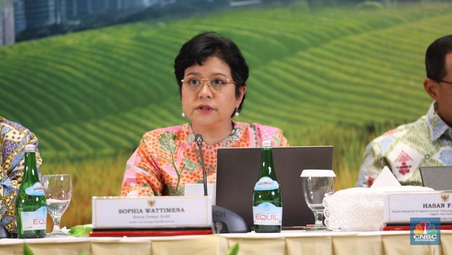 Ketua Dewan Audit Otoritas Jasa Keuangan (OJK) Sophia Wattimena. (CNBC Indonesia/Tri Susilo)