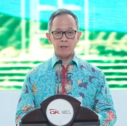 OJK: Situasi 2025 Juga Tidak Lebih Mudah