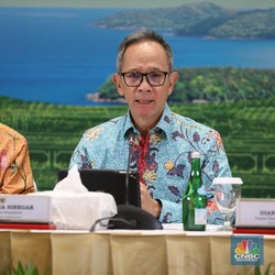 Kredit UMKM Bank Terpuruk, Ini Penjelasan OJK