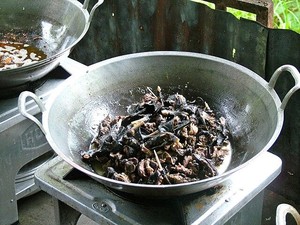 5 Kuliner Esktrem Khas Minahasa: Paniki Kelelawar hingga Tongseng Biawak