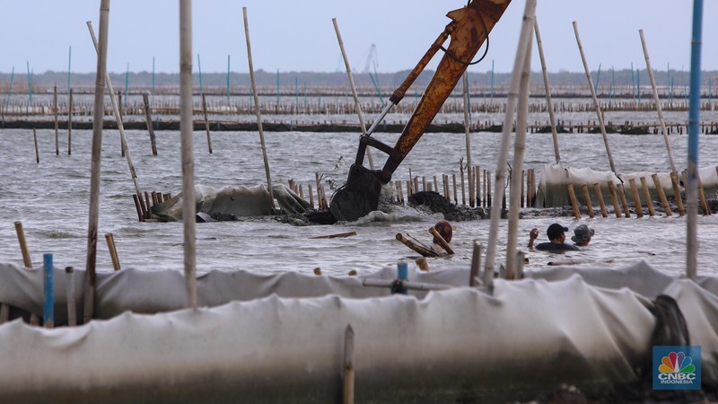 Pekerja melakukan pembongkaran pagar laut milik PT Tunas Ruang Pelabuhan Nusantara (PT TRPN) di pesisir Tarumajaya, Desa Segarajaya, Kabupaten Bekasi, Jawa Barat (11/2/2025). Pekerja melakukan pembongkaran pagar laut milik PT Tunas Ruang Pelabuhan Nusantara (PT TRPN) di pesisir Tarumajaya, Desa Segarajaya, Kabupaten Bekasi, Jawa Barat (11/2/2025). (²©²ÊÍøÕ¾/Faisal Rahman)