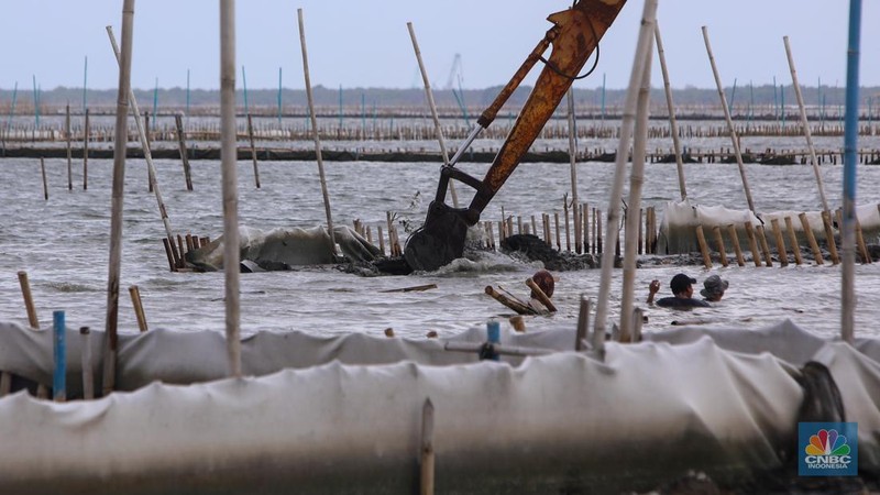 Pekerja melakukan pembongkaran pagar laut milik PT Tunas Ruang Pelabuhan Nusantara (PT TRPN) di pesisir Tarumajaya, Desa Segarajaya, Kabupaten Bekasi, Jawa Barat (11/2/2025).  (վ/Faisal Rahman)