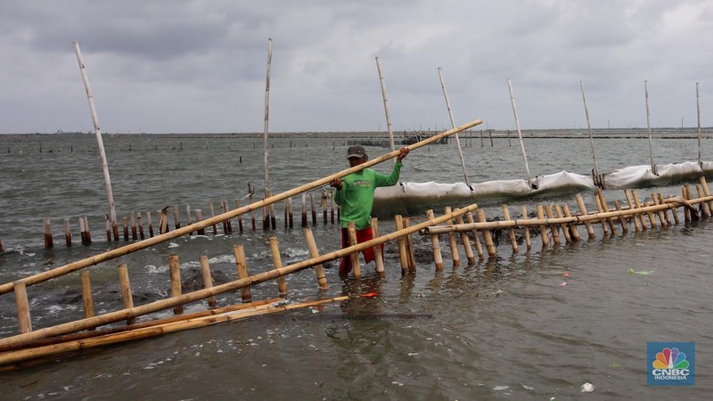 Pekerja melakukan pembongkaran pagar laut milik PT Tunas Ruang Pelabuhan Nusantara (PT TRPN) di pesisir Tarumajaya, Desa Segarajaya, Kabupaten Bekasi, Jawa Barat (11/2/2025).  (վ/Faisal Rahman)