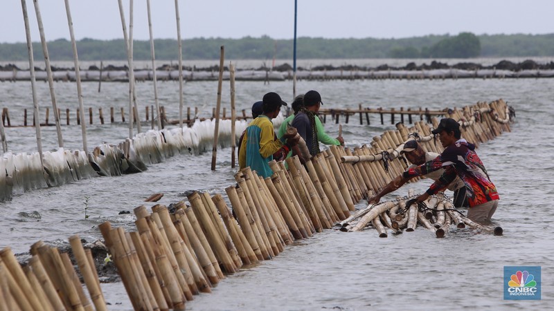 Pekerja melakukan pembongkaran pagar laut milik PT Tunas Ruang Pelabuhan Nusantara (PT TRPN) di pesisir Tarumajaya, Desa Segarajaya, Kabupaten Bekasi, Jawa Barat (11/2/2025). Pekerja melakukan pembongkaran pagar laut milik PT Tunas Ruang Pelabuhan Nusantara (PT TRPN) di pesisir Tarumajaya, Desa Segarajaya, Kabupaten Bekasi, Jawa Barat (11/2/2025). (²©²ÊÍøÕ¾/Faisal Rahman)