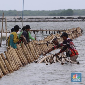 Penampakan Ekskavator 'Berenang' Ikut Bongkar Pagar Laut di Bekasi
