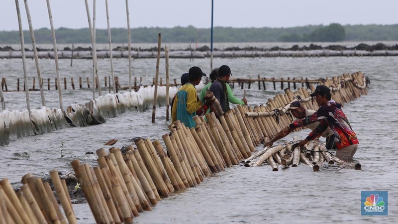 Pekerja melakukan pembongkaran pagar laut milik PT Tunas Ruang Pelabuhan Nusantara (PT TRPN) di pesisir Tarumajaya, Desa Segarajaya, Kabupaten Bekasi, Jawa Barat (11/2/2025).  (վ/Faisal Rahman)