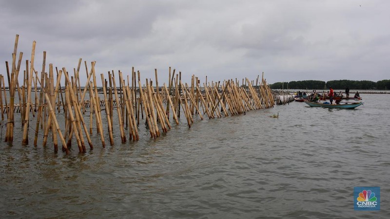 Pekerja melakukan pembongkaran pagar laut milik PT Tunas Ruang Pelabuhan Nusantara (PT TRPN) di pesisir Tarumajaya, Desa Segarajaya, Kabupaten Bekasi, Jawa Barat (11/2/2025).  (վ/Faisal Rahman)