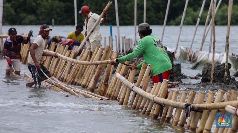 Pekerja melakukan pembongkaran pagar laut milik PT Tunas Ruang Pelabuhan Nusantara (PT TRPN) di pesisir Tarumajaya, Desa Segarajaya, Kabupaten Bekasi, Jawa Barat (11/2/2025).  (վ/Faisal Rahman)