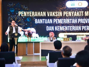 870 Ribu Vaksin PMK Didistribusikan ke Sejumlah Daerah di Jatim