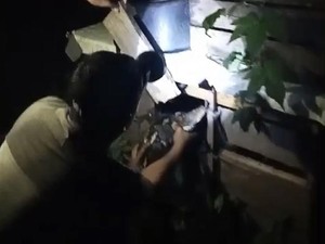 Warga di Enrekang Tangkap-Bunuh Ular Piton 4 Meter Usai Mangsa Ayam
