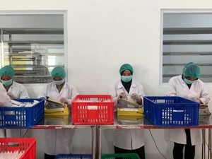BNI Bantu Produsen Tempe Asal Bogor Tembus Ekspor ke 10 Negara