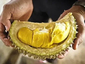 Duh! Pembeli Durian Dihina Miskin oleh Penjual Gegara Hal Ini