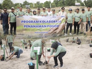 PNM Bareng BRINS Tanam 1.000 Bibit Pohon dan Beri Edukasi Asuransi