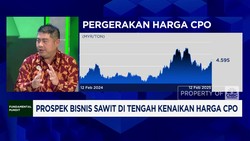 Video: Prospek Bisnis Sawit di Tengah Kenaikan Harga CPO