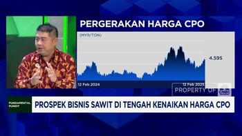 Video: Prospek Bisnis Sawit di Tengah Kenaikan Harga CPO