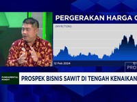 Video: Prospek Bisnis Sawit di Tengah Kenaikan Harga CPO