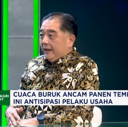 Video: Cuaca Buruk Ancam Panen Tembakau, Pengusaha Rokok Antisipasi!