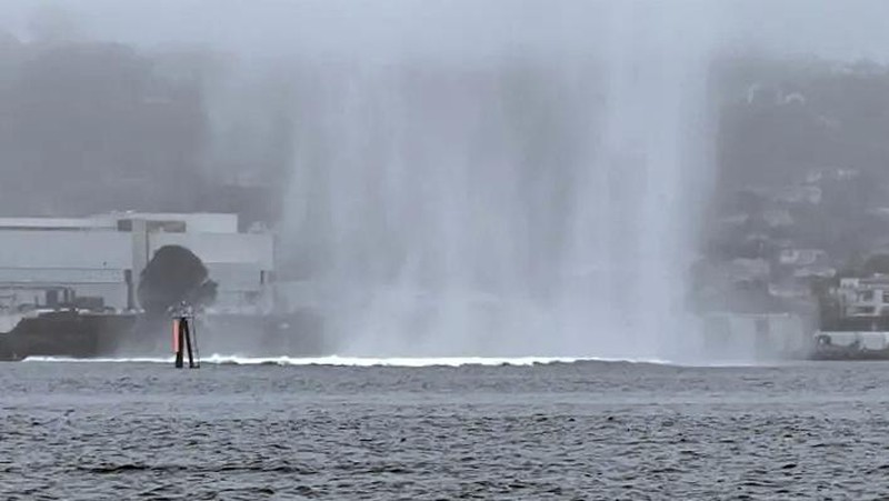 Gambar yang disediakan oleh Premier Sportfishing ini menunjukkan E/A-18G Growler sebelum jatuh di lepas pantai San Diego pada hari Rabu, 12 Februari 2025. (Capt. Brandon Viets/Premier Sportsfishing via AP)