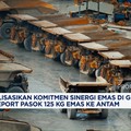 Video: Hilirisasi Mineral Terintegrasi Jadi Nyata di Bawah Mind ID