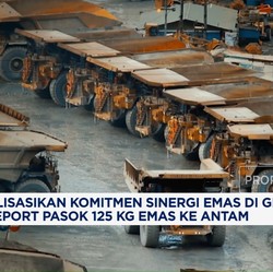 Video: Hilirisasi Mineral Terintegrasi Jadi Nyata di Bawah Mind ID