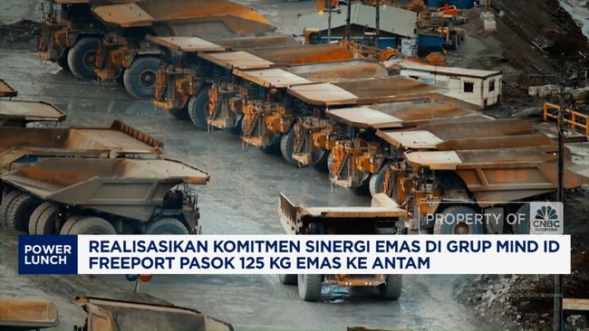 Hilirisasi Mineral Terintegrasi Jadi Nyata di Bawah Mind ID