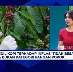 Video: Pak Prabowo, Produksi Kopi Anjlok & Petani Belum Sejahtera