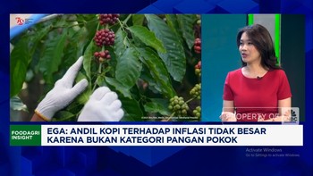Video: Pak Prabowo, Produksi Kopi Anjlok & Petani Belum Sejahtera