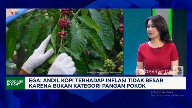 Pak Prabowo, Produksi Kopi Anjlok & Petani Belum Sejahtera