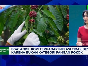 Video: Pak Prabowo, Produksi Kopi Anjlok & Petani Belum Sejahtera