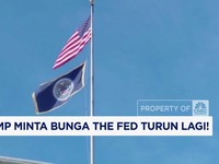 Video: Trump Minta Bunga The Fed Turun Lagi!