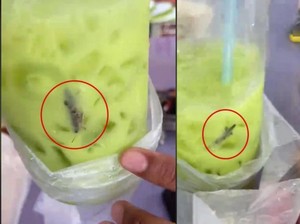 Duh, Ada Bangkai Belalang di Green Tea Pria Ini