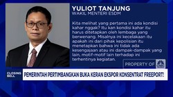 Video: Pemerintah Pertimbangkan Buka Keran Ekspor Konsentrat Freeport