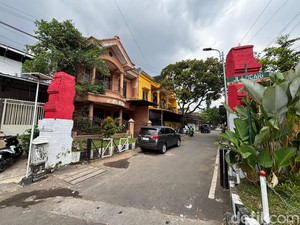Langkah Polisi soal Teror Kucing Mati Massal di Kota Malang