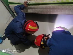 Ular Masuk Kamar Mandi Rumah Bikin Panik Penghuni