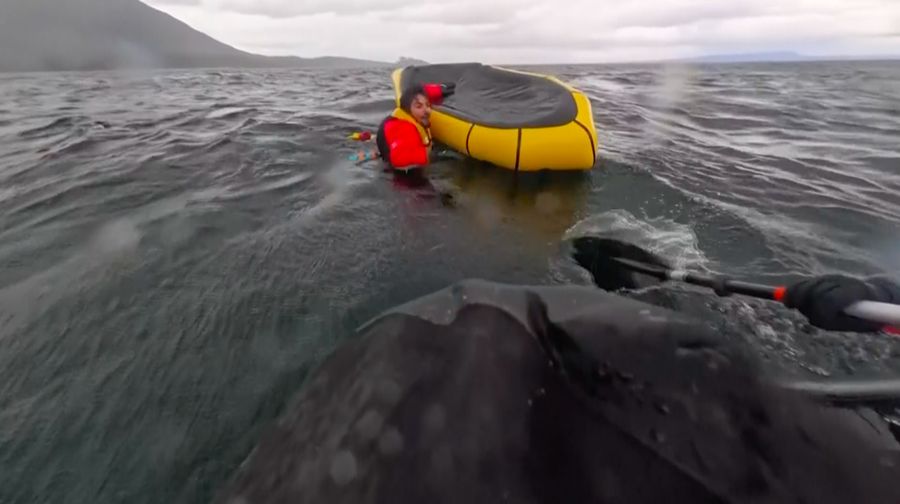 Seekor paus bungkuk menelan seorang pendayung kayak di lepas pantai Patagonia, Chili, sebelum segera melepaskannya tanpa cedera. (Tangkapan Layar Video Associated Press (AP)/)