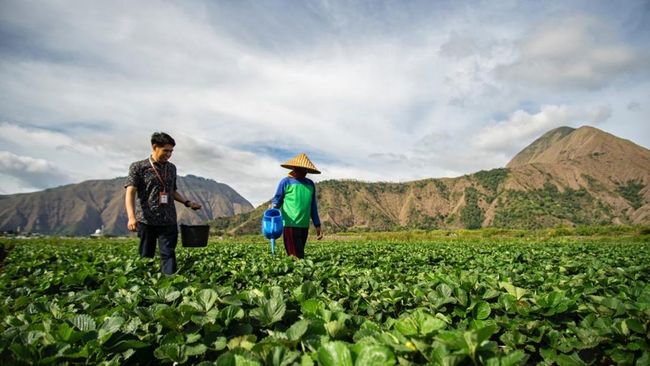 Berpihak Pada UMKM dan Ekonomi Kerakyatan, BRI Jaga Stabilitas Kinerja