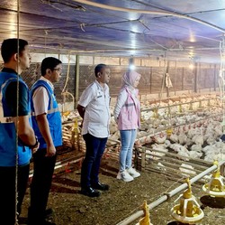 PLN Catat Penurunan Durasi dan Frekuensi Gangguan di 2024