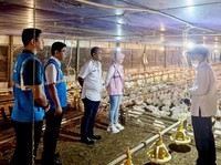 PLN Catat Penurunan Durasi dan Frekuensi Gangguan di 2024