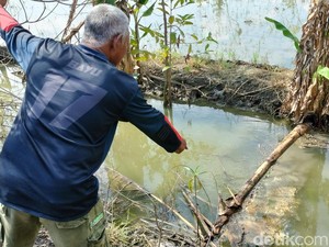 Limbah Pengeboran EP Sukowati Bojonegoro Mengalir ke Sawah, Petani Protes