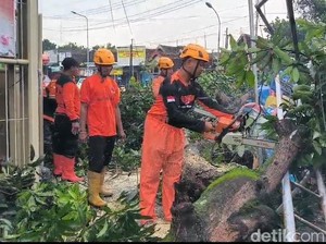 Hujan-Angin Kencang di Madiun Sebabkan Pohon Tumbang, Ngawi-Caruban Merayap