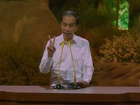 Mantan Presiden Diminta Ikut Awasi Danantara, Ini Respons Jokowi
