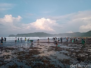 Bau Nyale Dimulai, Warga Lombok Tengah Tumpah Ruah Berburu Cacing di Pantai