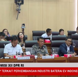 Gak Cuma Nikel, RI Punya 'Harta Karun' Ini Buat Bikin Baterai EV