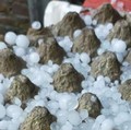 Fakta Hujan Jelly di Gorontalo Diungkap Penduduk Setempat di Medsos