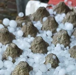 Fakta Hujan Jelly di Gorontalo Diungkap Penduduk Setempat di Medsos
