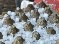 Fakta Hujan Jelly di Gorontalo Diungkap Penduduk Setempat di Medsos